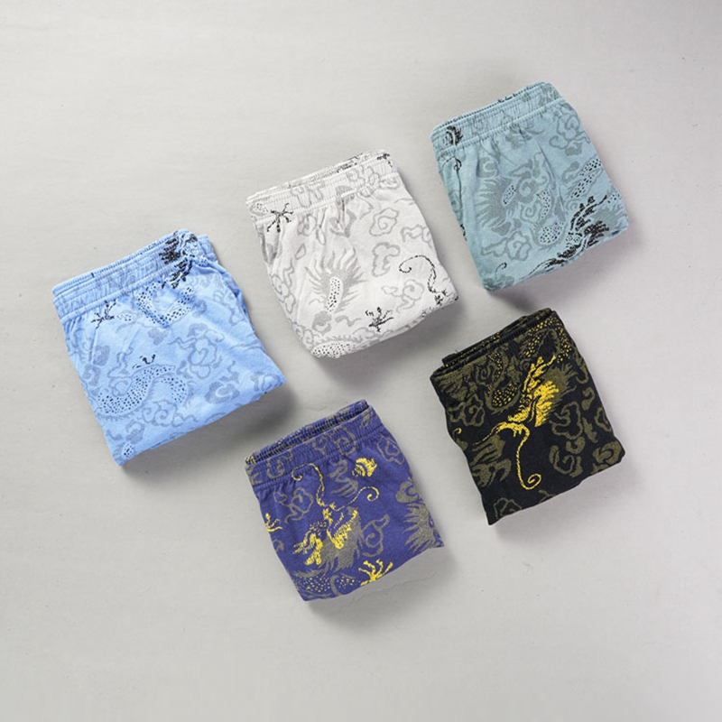 10 Pcs/Lot 100% Cotton Men's P - đánh giá và giá Multi Pack Underwear